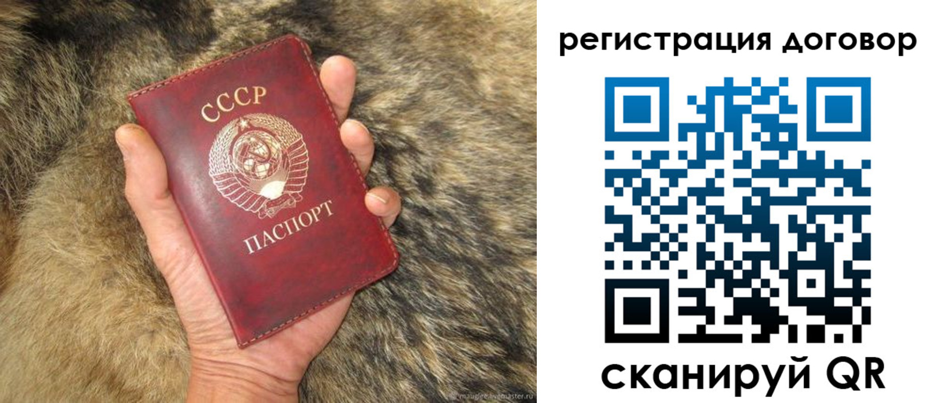 прописка поиск в Рязани